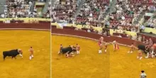 Corrida shock: torero giovanissimo ucciso dal toro, poi subito un’altra vittima. Tutto in un attimo