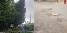 Bomba d’acqua in Italia, strade allagate e alberi caduti. Terribile