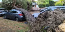 Violenta tromba d’aria devasta tutto: danni ingenti, strade chiuse e soccorsi in azione