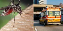 West Nile, sale il numero delle vittime in Italia