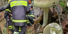 “Purtroppo è lui”. Trovato così nel bosco, le urla di terrore: cosa gli è capitato