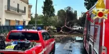 Fulmine incendia casa, crollano gli alberi: maltempo choc in Italia, danni pesantissimi