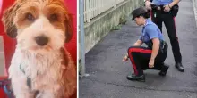 Accoltellata mentre passeggia col cane, terrore in pieno giorno: scomparso il cagnolino. Caccia all’uomo