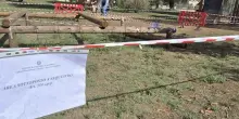 Disgrazia in mattinata al parco giochi: bimbo di tre anni schiacciato. È successo in un attimo