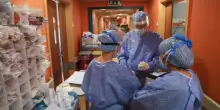 Nuovo allarme sanitario in Europa, Italia la più colpita: “Intervento urgente, la minaccia è seria”