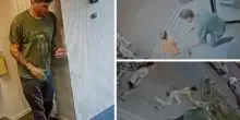 “Ha rubato mio figlio!”. Padre organizza un vero e proprio blitz: scene da film