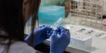Influenza, isolati i primi casi in Italia: Pregliasco lancia l’allarme