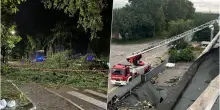 Maltempo Italia: alberi abbattuti e vetri “scoppiati” per la furia del vento