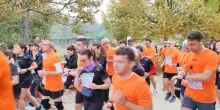 Sciame di calabroni attacca i maratoneti, terrore in Italia: corsa in ospedale
