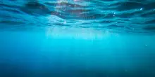 Scoperta incredibile nel Golfo di Napoli: a 500 metri di profondità si nasconde una scogliera di coralli antichissima