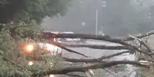 Tempesta Amy, venti devastanti su tutta Italia: allerta gialla in diverse regioni