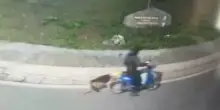 Italia, trascina il cane per 6 km con la bici. La cucciola trovata così, terribile