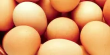 “Non consumatele!”. Uova pericolose ritirate in tutta Italia. Rischio altissimo
