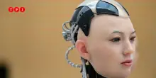 ChatGpt e altri programmi di intelligenza artificiale possono auto-organizzarsi senza l’intervento umano