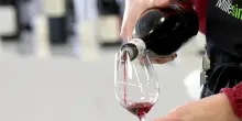 La Spagna cerca 10mila volontari per bere vino tutti i giorni per i prossimi 4 anni: ecco quali sono i requisiti