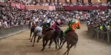 Palio di Siena 2 luglio 2025, i cavalli e le relative contrade: tutte le assegnazioni