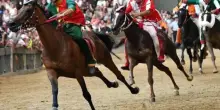 Palio di Siena 3 luglio 2025, le contrade che prenderanno parte alla Carriera di oggi