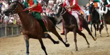 Palio di Siena 3 luglio 2025 streaming e diretta tv: dove vedere la Carriera