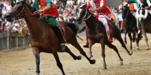 Palio di Siena 16 agosto 2025, le contrade che prenderanno parte alla Carriera di oggi