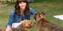 Dog Days: tutto quello che c’è da sapere sul film