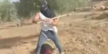 Colono israeliano aggredisce a bastonate un’anziana palestinese durante la raccolta delle olive in Cisgiordania | VIDEO